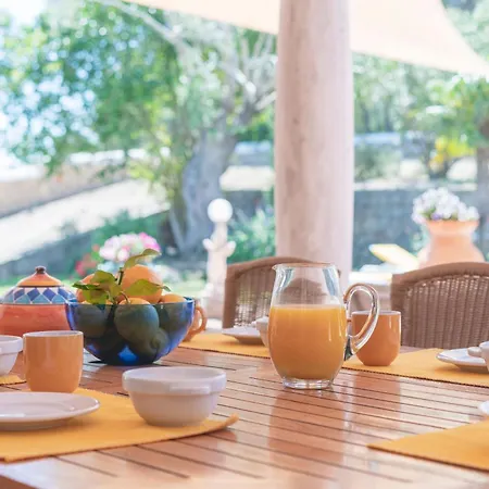 Joan Vich Ii Santa Eulalia del Río